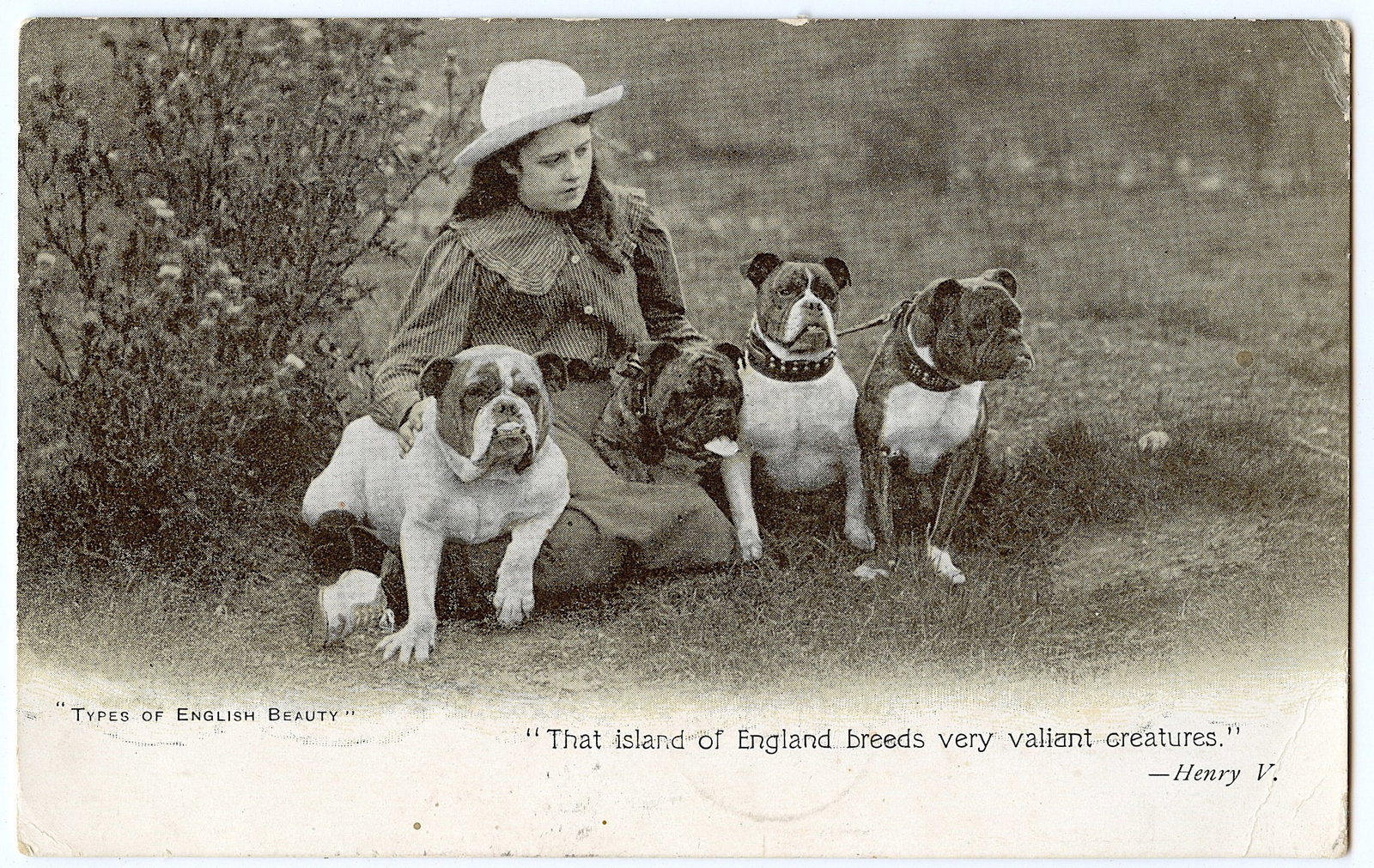 Vintage Rare Postcard Dogs Bulldog: This item is coming from the estate of a collector in CA. The dimensions of an antique postcard are Approx. 5.5"x 3.5" (small variances can occur)".We have attached quality images to show its actual c