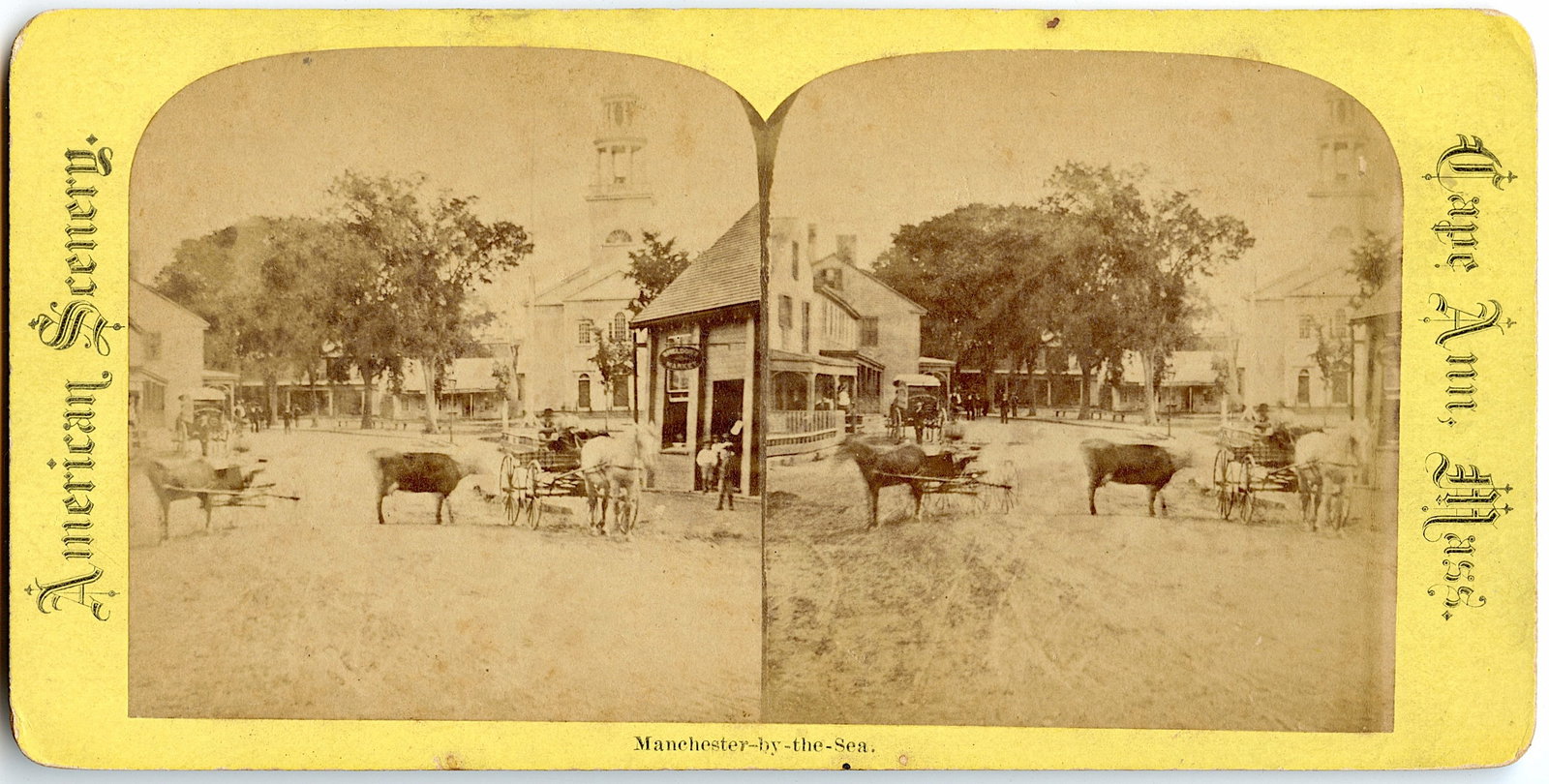 Antique Rare Real Photo Stereoview Americana: This stereoviews is original from the epoch . The stereoviews we are offering come mainly from collectors in the U.S.A. and constitute wonderful testimonies of past time that tend to be unique. They h