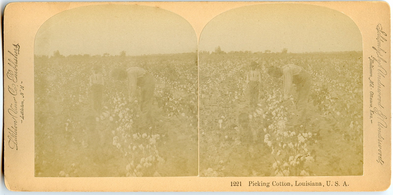 Antique Rare Real Photo Stereoview Americana: This stereoviews is original from the epoch . The stereoviews we are offering come mainly from collectors in the U.S.A. and constitute wonderful testimonies of past time that tend to be unique. They h