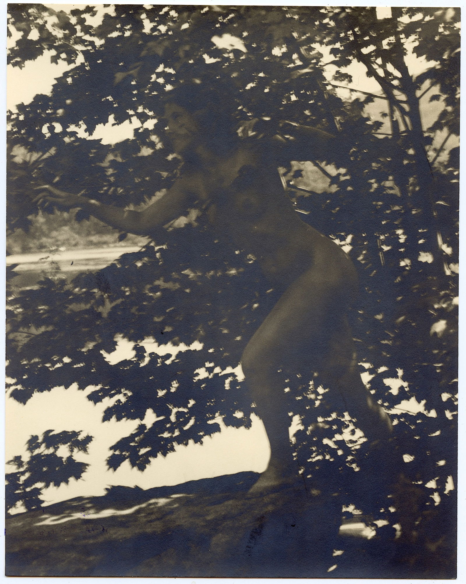 Original Photo ESTATE OF H. RICHARDSON CREMER (1 of 2)