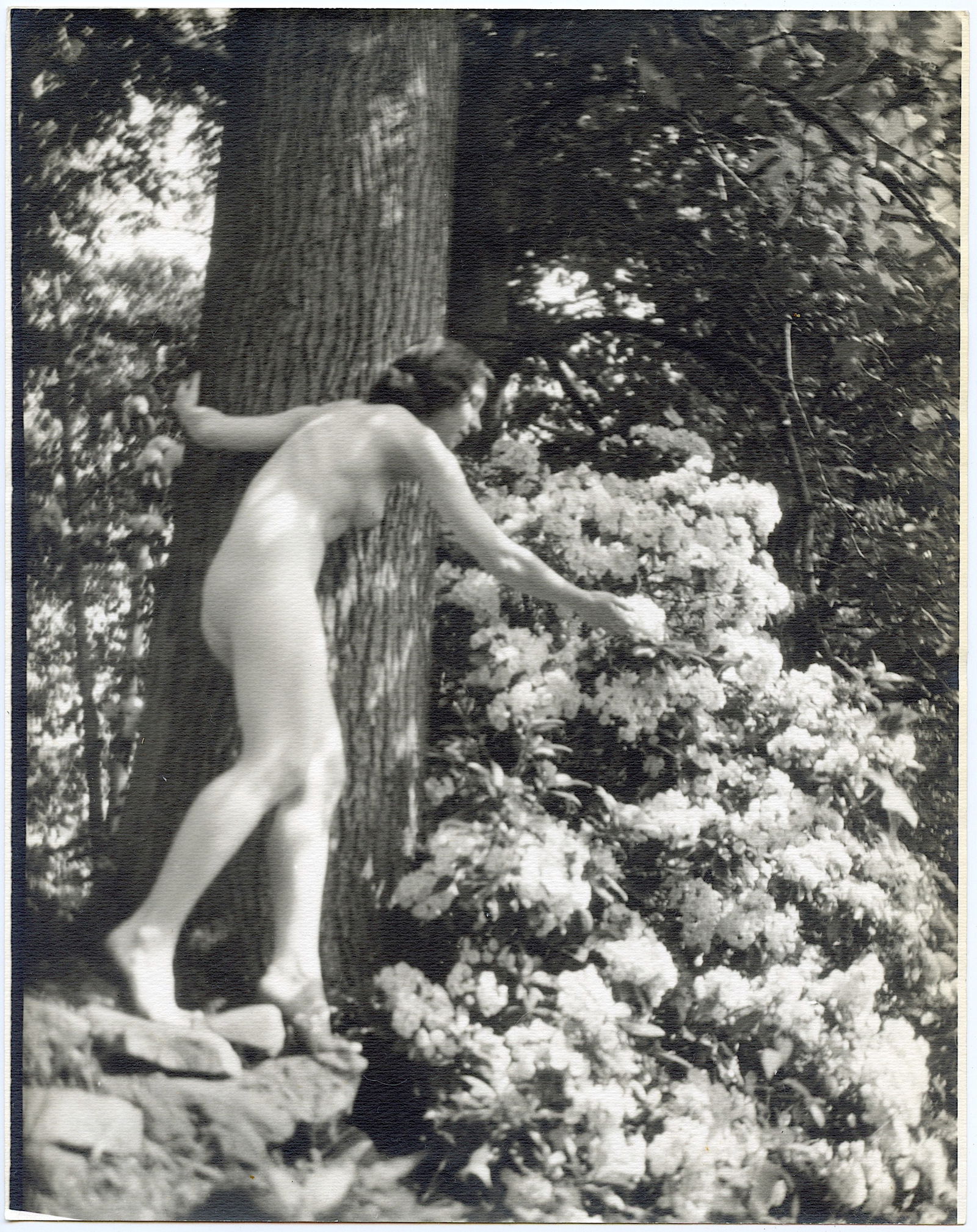 Original Photo ESTATE OF H. RICHARDSON CREMER (1 of 2)