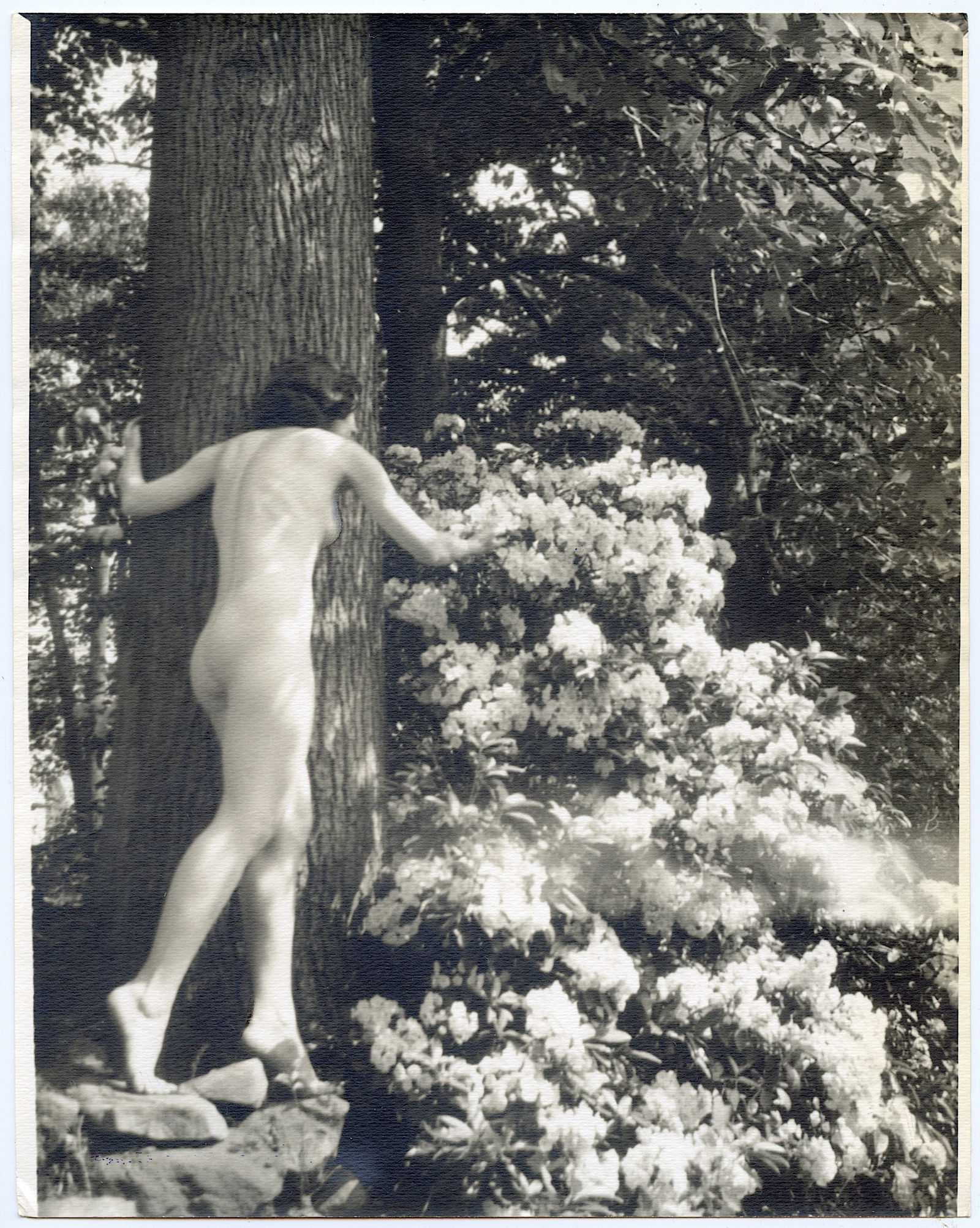 Original Photo ESTATE OF H. RICHARDSON CREMER (1 of 2)