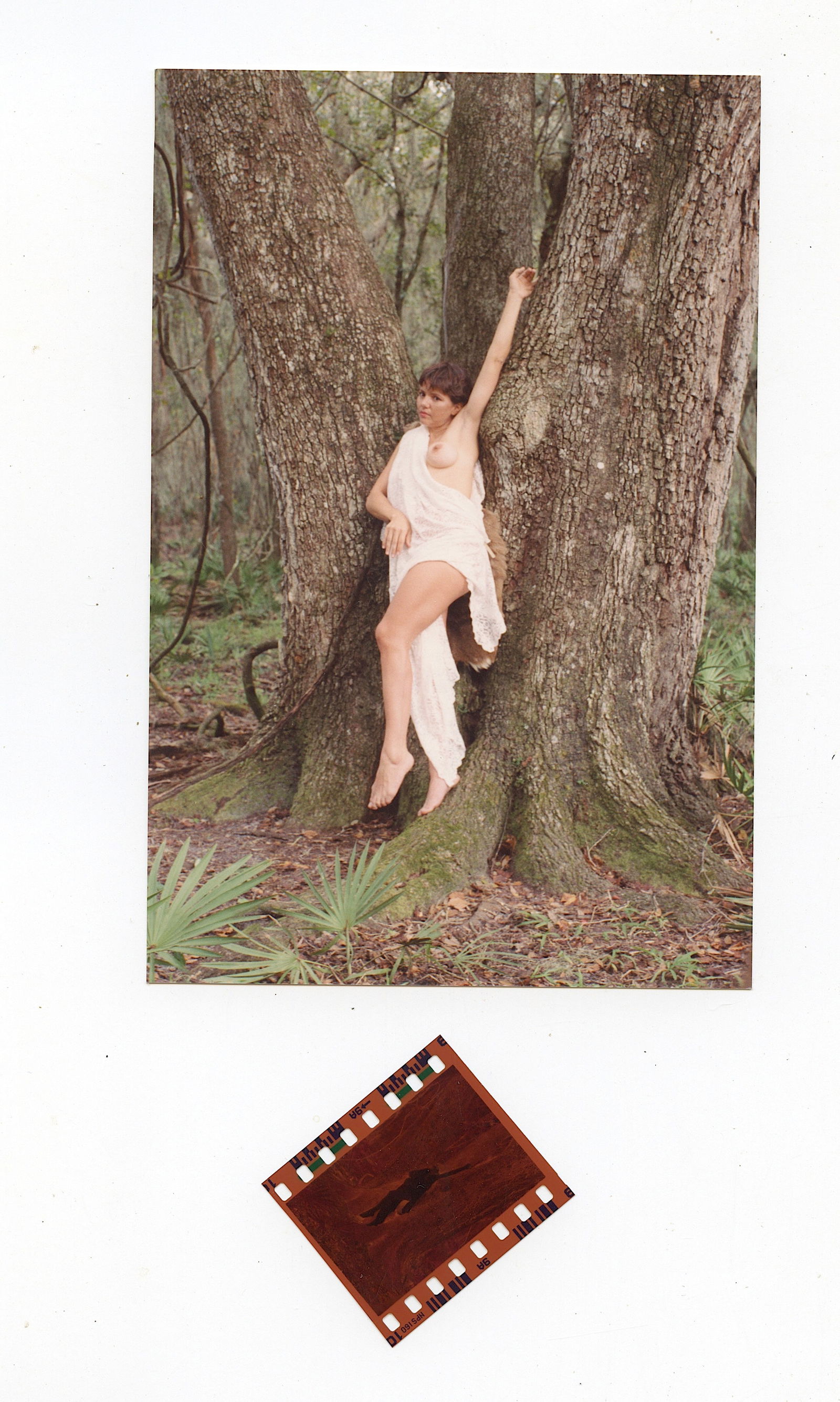 Set Pin UP Photo & Negative by BUNNY YEAGER (1 of 2)