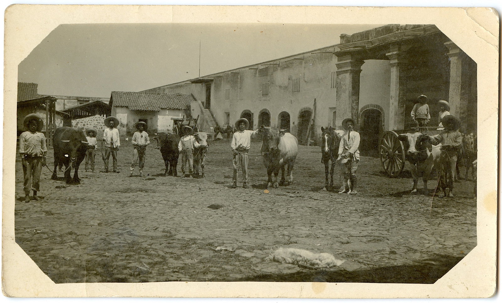 HUGO BREHME Mexican Original Photo Listed: Provenance from the estate of a deceased collector in the USA. Please, see all the attached quality images showing its actual condition.The dimensions are Approx.3.25" x 5.5". This lot is located in B