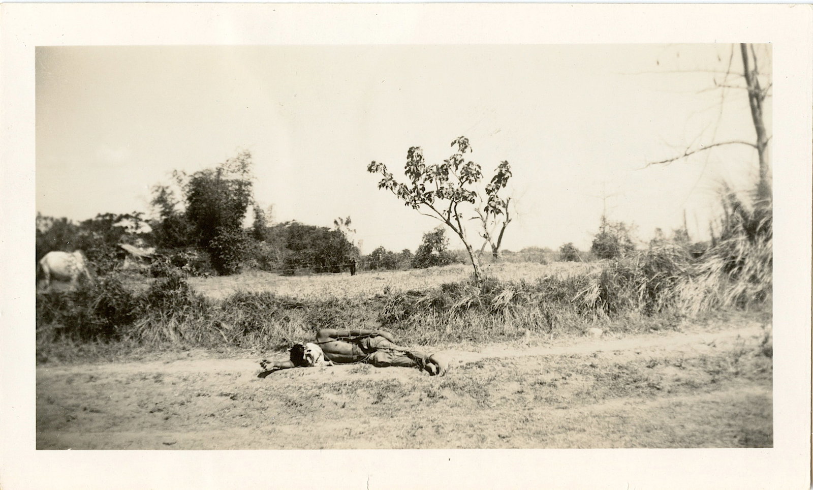 Historical US Military Pacific WarType 1 Photo 1940s: Provenance from the estate of a deceased collector in the USA. Please, see all the attached quality images showing its actual condition.The dimensions of these Pacific WW2 photos are Approx. in the ra
