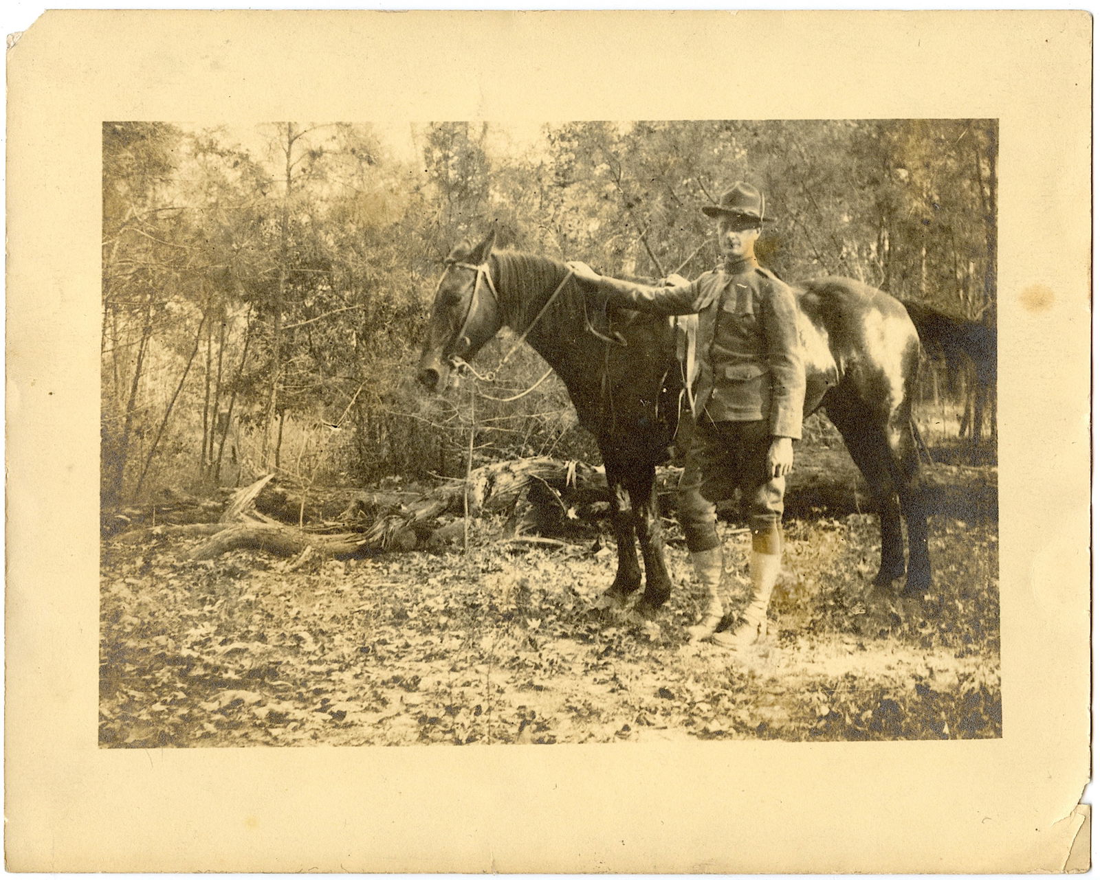 Antique US Identified Military Photo Rider Horse WWI (1 of 2)