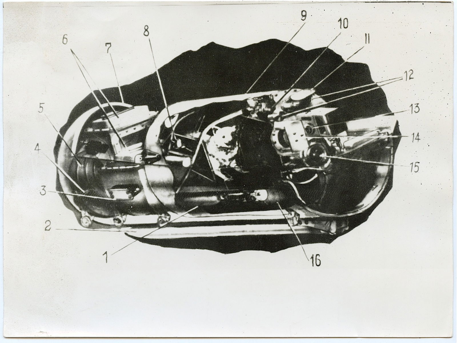 Vintage Historical Photo 1960 Space Russian Dogs Belka & Strelka (1 of 2)