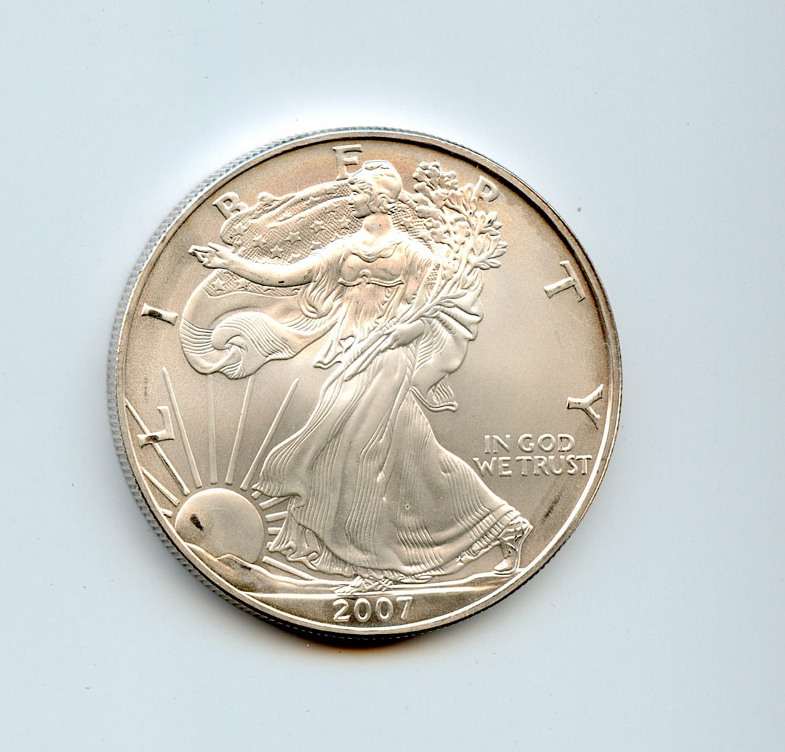 Scarce Silver Coin Collectors 2007 Walking Liberty: Provenance from a PBC Collector. We have included quality scans to show it's actual condition. This lot is located in Boca Raton, Fl and its shipment will be made directly by Artelisted. Shipping insu