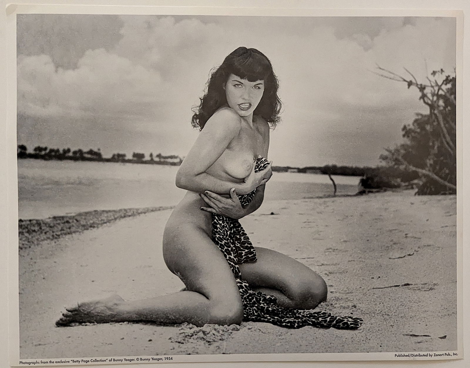 Original Poster BETTY PAGE by @ BUNNY YEAGER 11" x 14" (1 of 1)