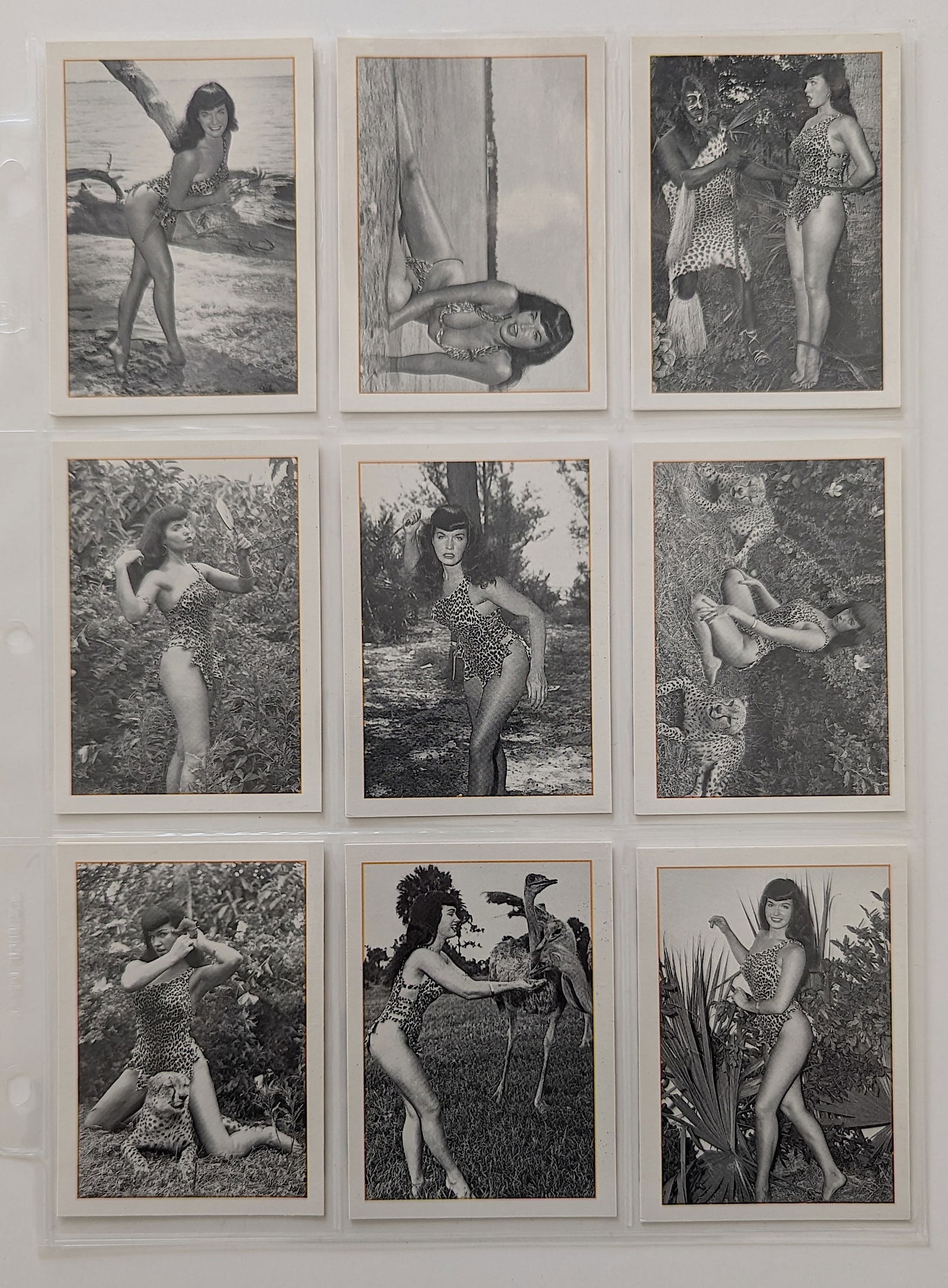 Set 9 BETTIE PAGE Pin-Up Trading Cards For Collectors (1 of 2)