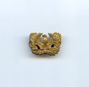 WWII US Army Warrant Officer's Cap eagle Pin