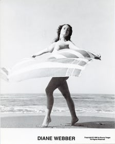 Original BUNNY YEAGER Pin-Up Litho Archives DIANE WEBBER