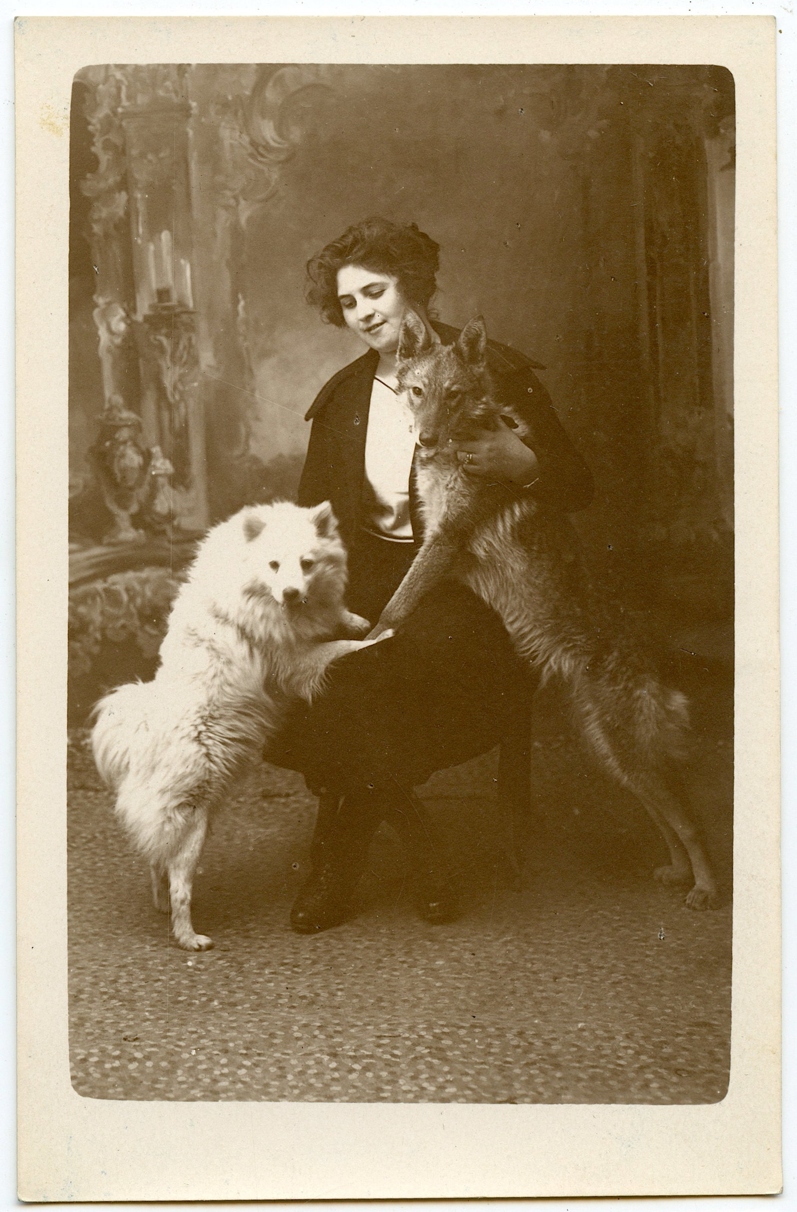 Antique Scarce Original Photo PC Lady with Dog: The provenance of this lot is from a quality collector in Paris, France. The dimensions are Approx. 3.5" x 5.5". We have included quality scans to show it's actual condition. This lot is located in Bo