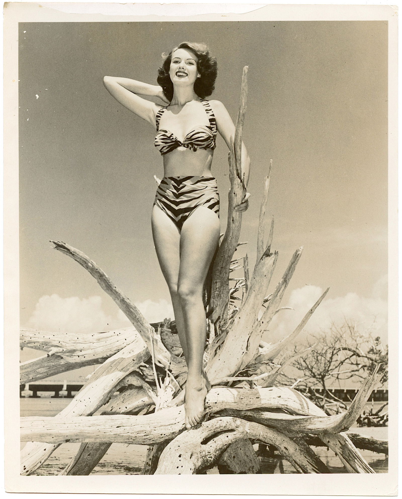 Vintage Original Photo Pin-Up Model BUNNY YEAGER Archives: This lot is coming from Bunny Yeager's estate/archives. Linnea Eleanor "Bunny" Yeager (March 13, 1929 - May 24, 2014) was an American photographer and pin-up model. She met Bettie Page in 1954, and to