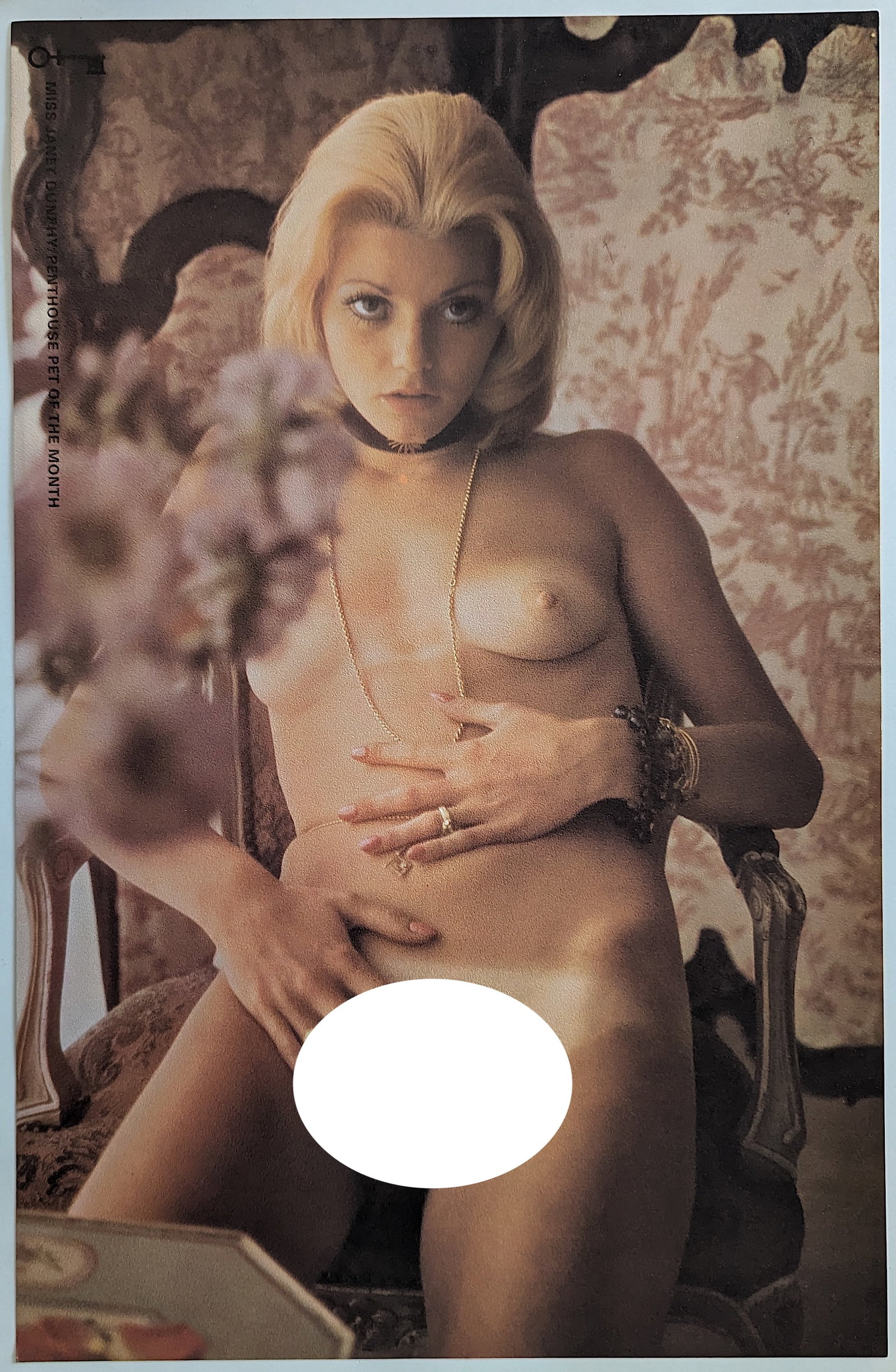 Vintage Pin Up Poster 1970 Penthouse International Nude 17" x 11": This lot is coming from the estate of a collector in RI. The dimensions are Approx. 17" x 11" (mat). This lot is located in Boca Raton, Fl and its shipment will be made directly by Artelisted. Shippin