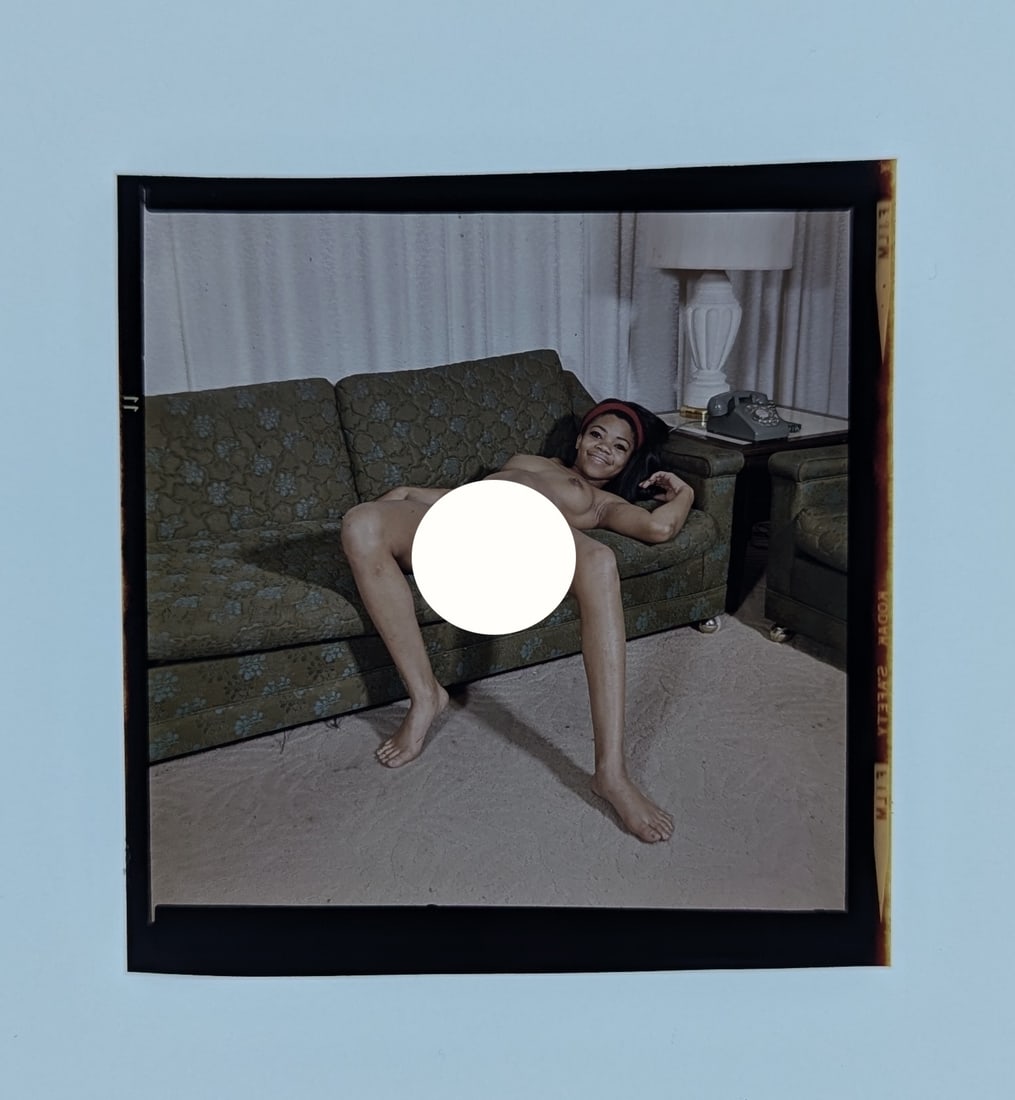 Positive Professional Photograph Female Pin Up Model (1 of 1)