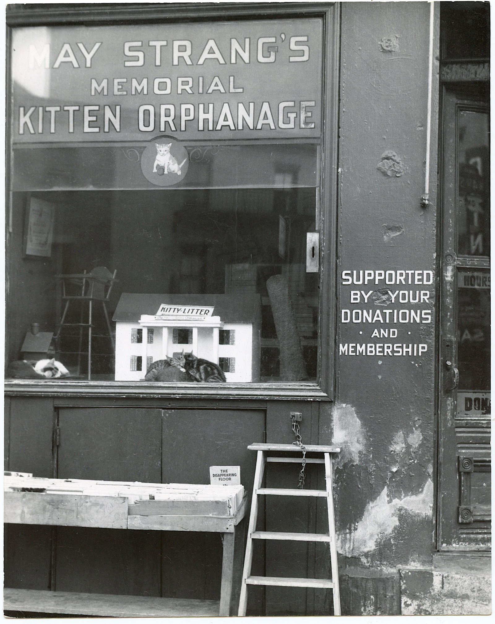 Original Photography by HERB FLATOW Serie Kitty Orphanage: This lot is coming from the estate of a collector in RI. We have included a quality scan to show it's actual condition. The dimensions are Approx. 10" x 8" (some variances can occur). This lot is loca