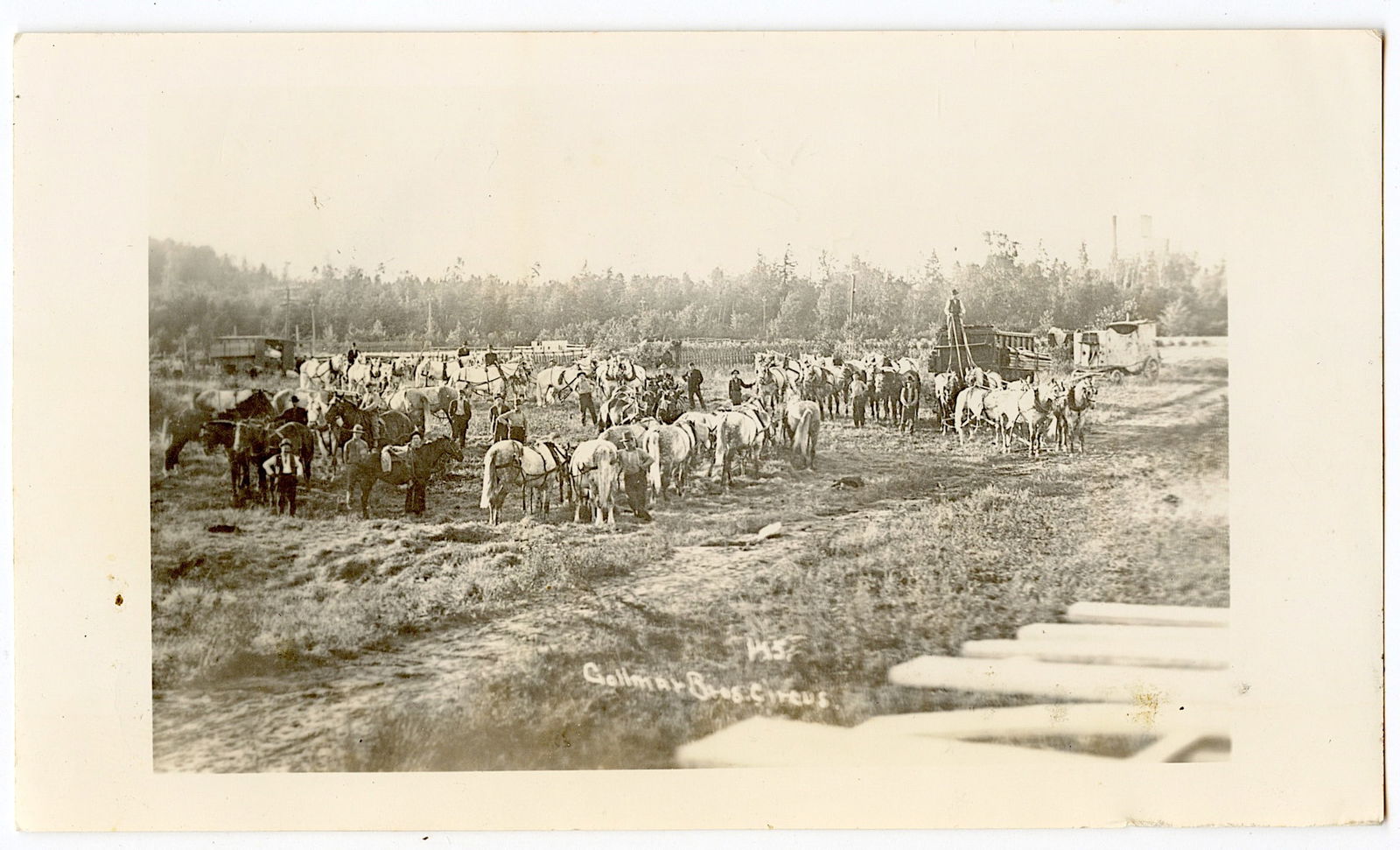 Antique Rare Postcard Photo Gollmar Bros. Circus (1 of 2)