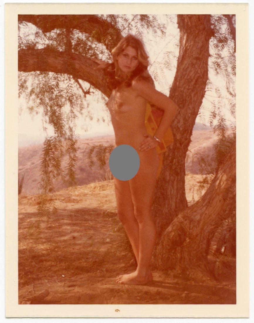 Vintage Original 1970s Pin Up Kodak Photo Artistic Nude: We have included quality images to show it's actual condition. Provenance from the estate of a collector in RI. The dimensions are Approx. 3.5" x 4.5". This lot is located in Boca Raton, Fl and its sh