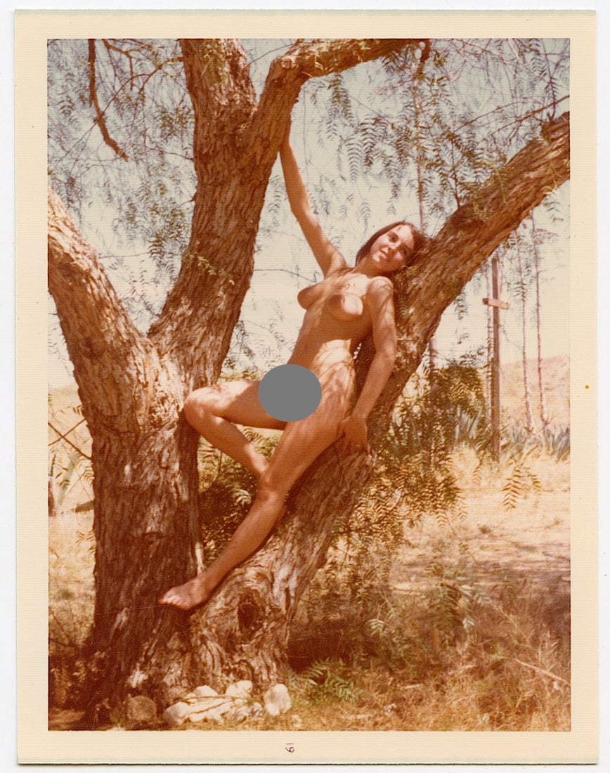 Vintage Original 1970s Pin Up Kodak Photo Artistic Nude: We have included quality images to show it's actual condition. Provenance from the estate of a collector in RI. The dimensions are Approx. 3.5" x 4.5". This lot is located in Boca Raton, Fl and its sh