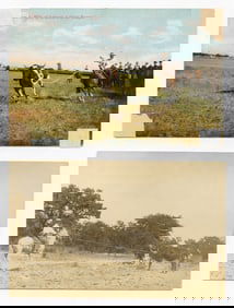 Roping Group (2  Items); Color tinted PC of Cowboy & RPPC of Cowboy