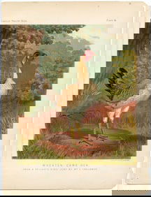 1890s Original Chromolithograph English Poultry Print Plate 16