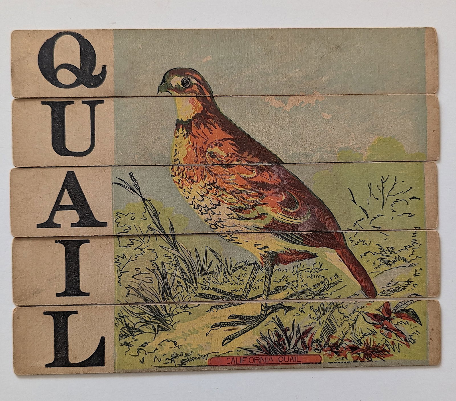 Vintage Victorian Slat Puzzle, Set B – Quail  -  6" x 7.5" (1 of 3)