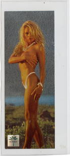Pamela Anderson - Edenquest - High Heels 1995 - EDEN 2 Holofoil Promo Card: This lot is coming from the estate of a photographer in LA. We have included a quality scan to show it's actual condition. This lot is located in Boca Raton, Fl and its shipment will be made directly