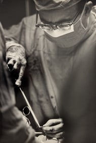 Original Photography by HERB FLATOW  N.Y.Serie Surgeon