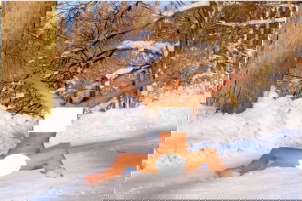 21st C. Fujifilm Print Photo Pin Up Model Female