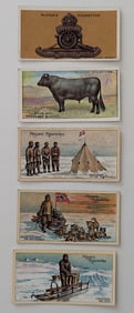 Vintage Set 5 Tradecards Collectors / Polar Exploration