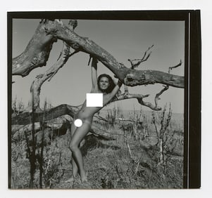 ANDRÉ DE DIENES Vintage Photo 1950s - 1960s Artistic Nude Study