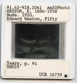 Vintage Art Quality Slide Photograph Edward WESTON Nude