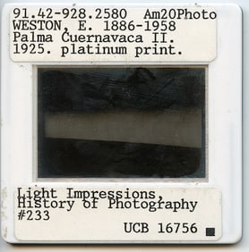 Vintage Art Quality Slide Photograph Edward WESTON Palma Cuernavaca