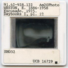Vintage Art Quality Slide Photograph Edward WESTON Excusado