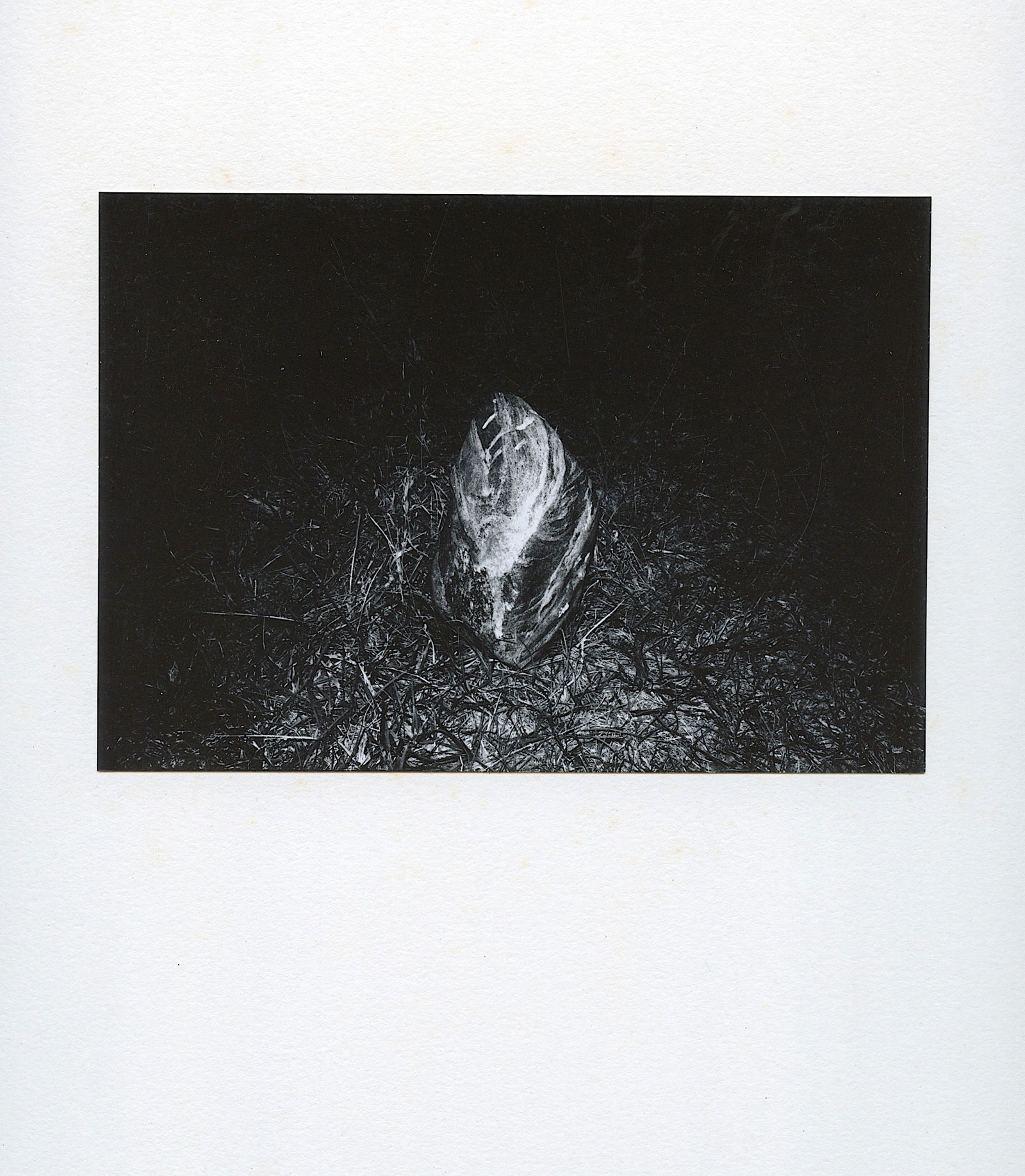 Authentic Vintage American Photo Post War - Subjective Style: Post-World War II art photography saw a shift from documentary to more personal and subjective styles, with photographers like Robert Frank and Garry Winogrand exploring urban environments and social