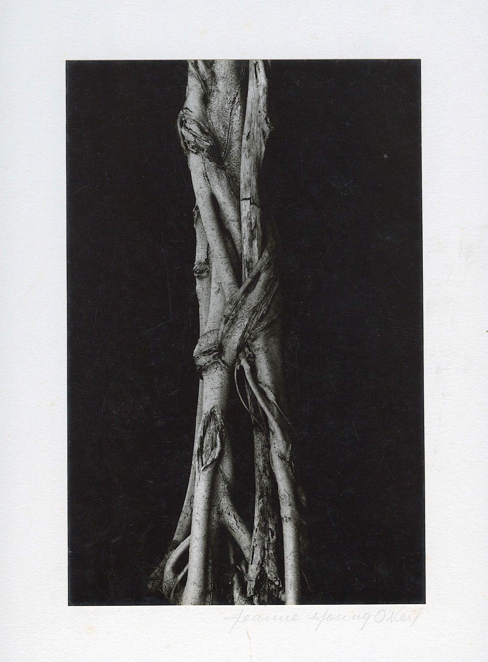 Authentic Vintage American Photo Post War - Subjective Style: Post-World War II art photography saw a shift from documentary to more personal and subjective styles, with photographers like Robert Frank and Garry Winogrand exploring urban environments and social