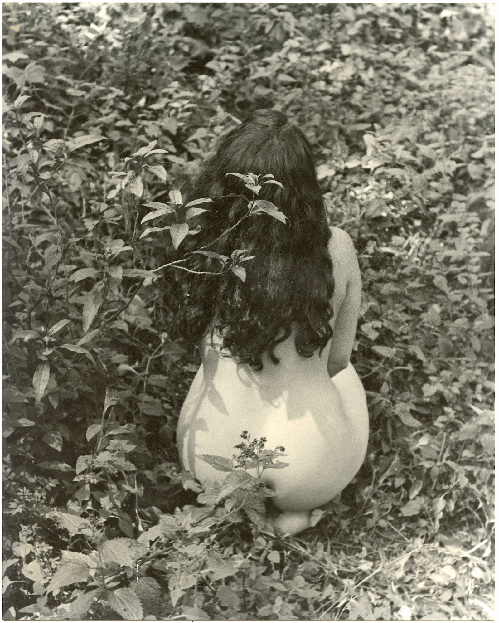 Unknown photographer Back view of a woman in the forest, 1950 (1 of 2)