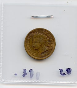 Currency Collectors 1903 Indian Head Penny