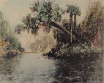 Colored Gravure Florida Swamp View by JAMES R. WILCOX