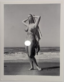 Vintage PHOTOGRAPH of DIANE WEBBER by BUNNY YEAGER 14" x 11" STAMPED
