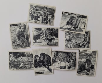 Vintage Set Trade Cards 1960s Talk Real Swahili