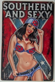 Southern and Sexy, Pinup Girls, Vintage Metal Sign 17.50" x 11.5"