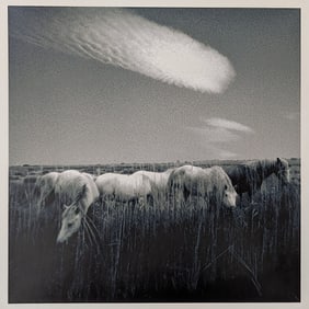 Original Photo by HARRIET TANNIN Signed 11" x 11"