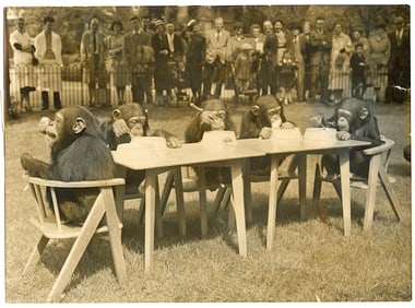 Vintage 1958 Chimpanzees Tea Party 4.75" x 6.5"