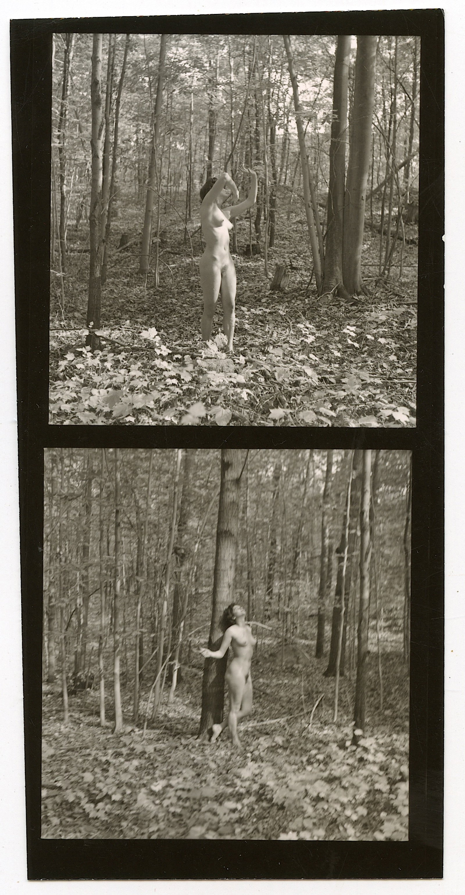 ANDRÉ DE DIENES Vintage Photo 1950s-1960s Nude Study: The provenance of this photo is from the archives of notable photographer André de Dienes.The dimensions are Approx. 2.75" x 2.75" (small variances can occur). This black and white gelatin photo was 