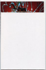 Vintage RareCollectible Adult Comic Penthhouse Comix