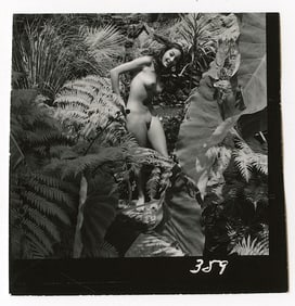 ANDRÉ DE DIENES Vintage Photo 1950s-1960s Nude Study