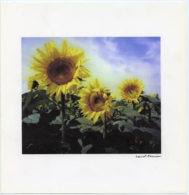 Original Photo by HARRIET TANNIN Signed  8.5" x 8"