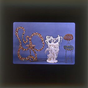 Art Original 20th C. 35mm Slide Artist LUCAS SAMARAS (1936 - 2024)